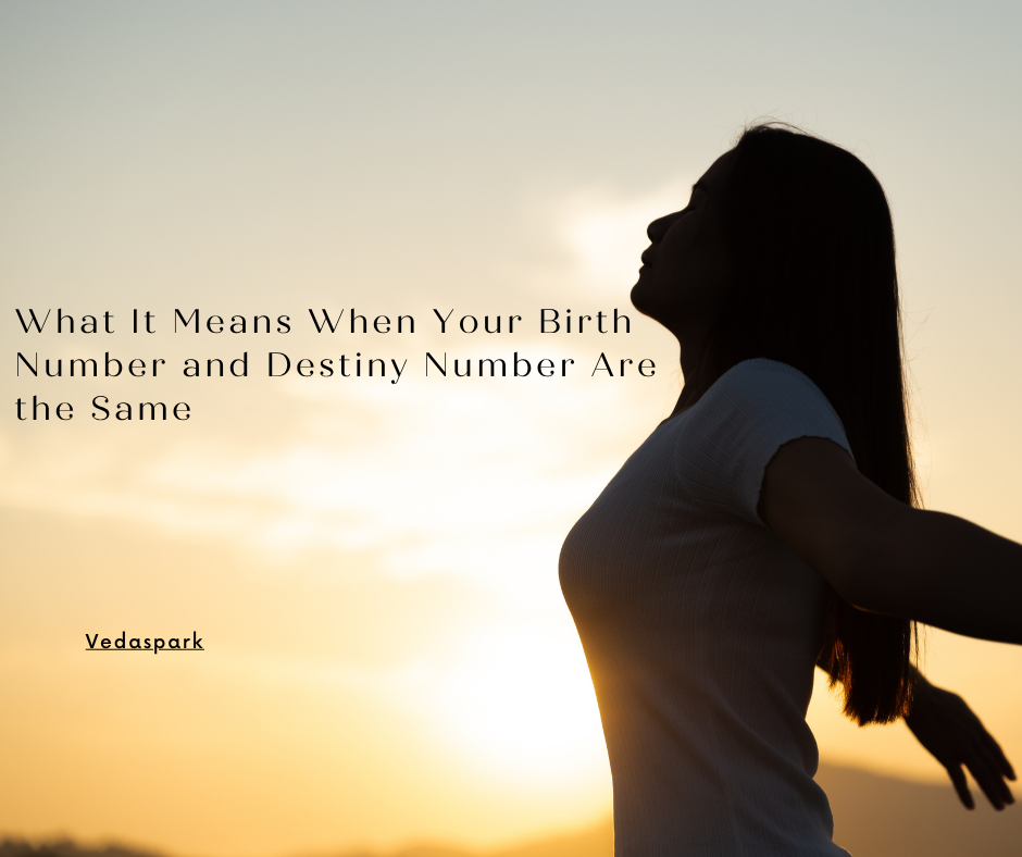 When Your Numbers Match: Cosmic Coincidence or Karmic Calling?