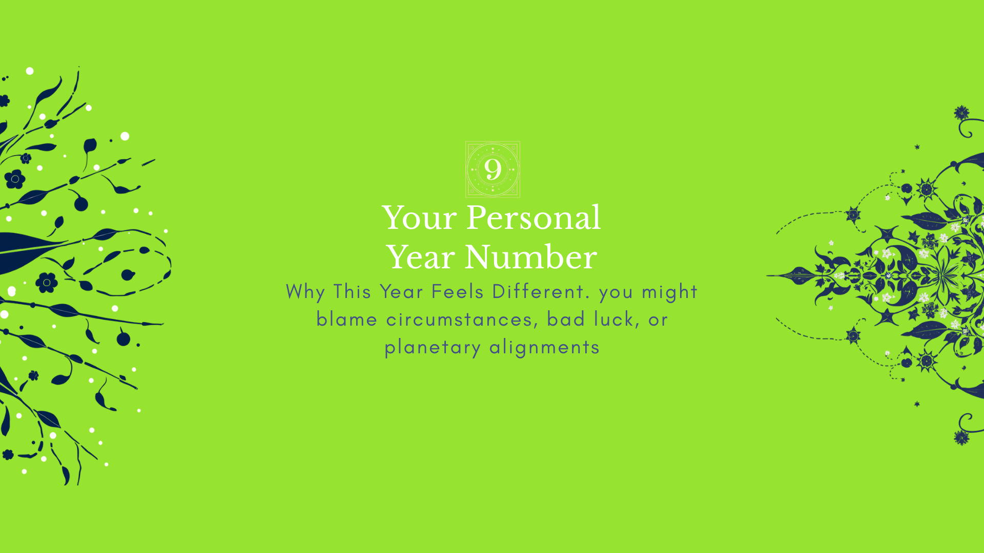 Your Personal Year Number—Why This Year Feels Different